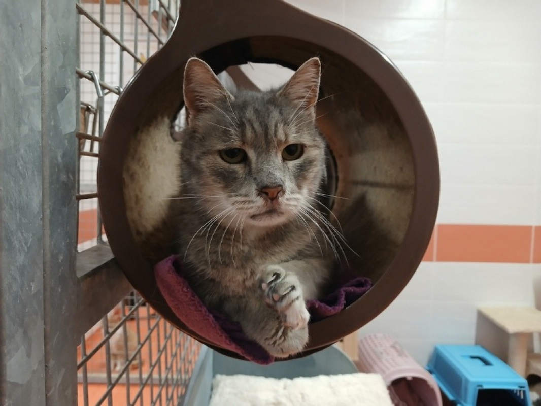 Photo #2 de Anouchka