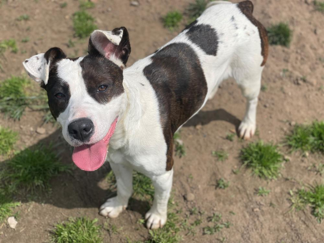 Photo #2 de Geraldine