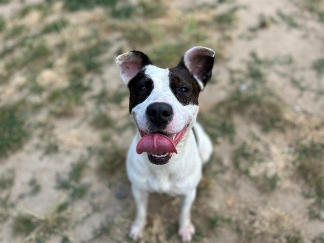 Photo #3 de Geraldine