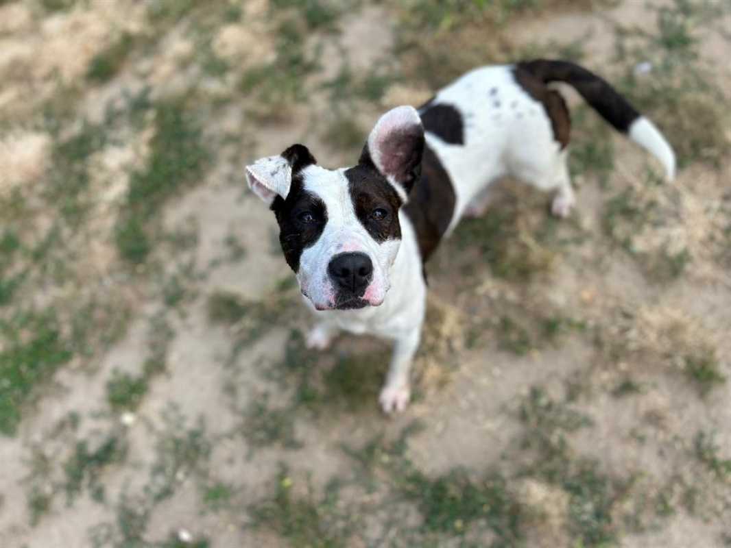 Photo #4 de Geraldine