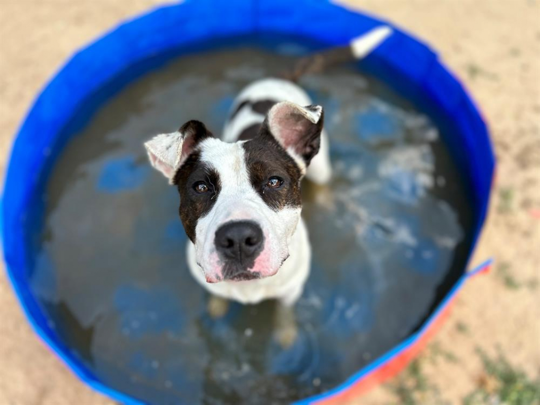 Photo #5 de Geraldine