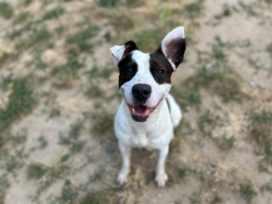 Photo #7 de Geraldine