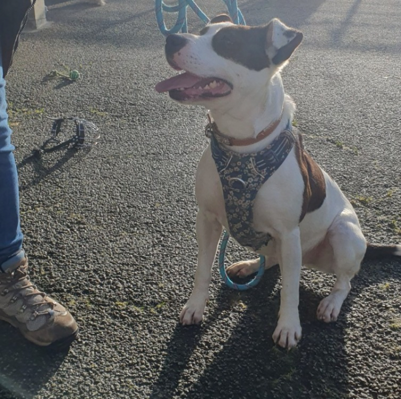 Photo #1 de Geraldine