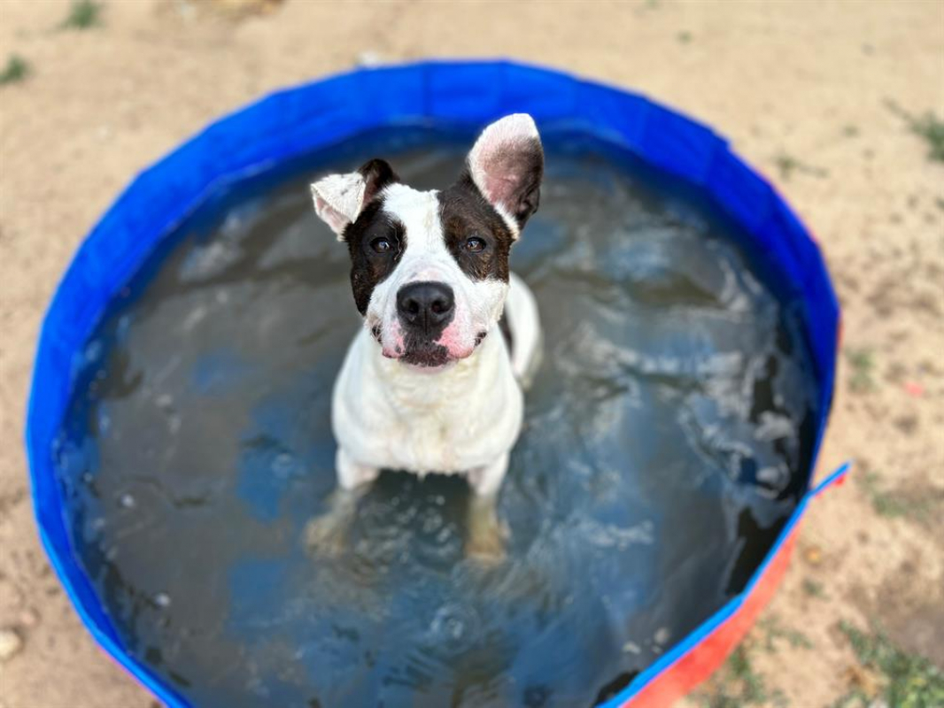 Photo #5 de Geraldine