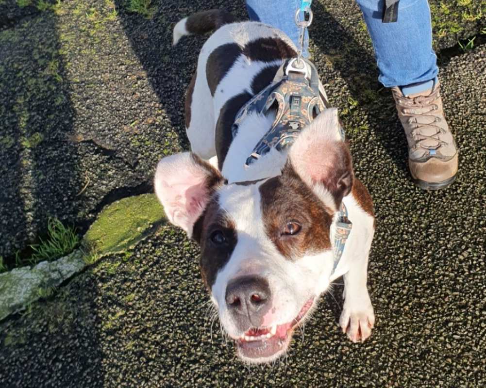 Photo #6 de Geraldine