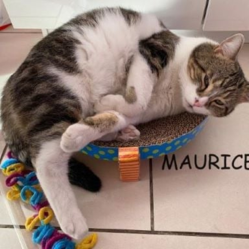 Photo de Maurice