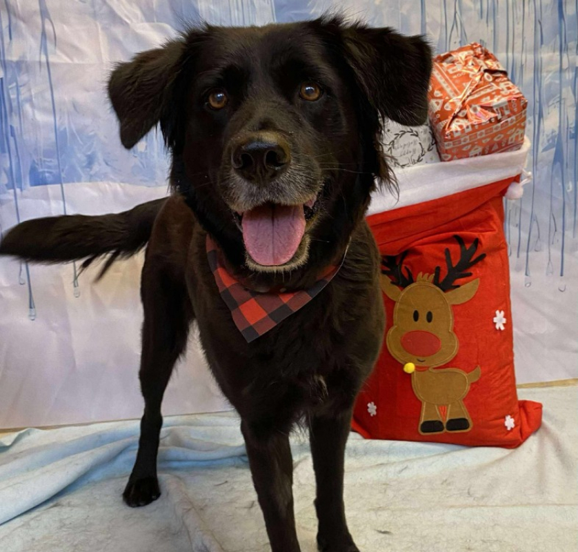 Photo #1 de Morticia