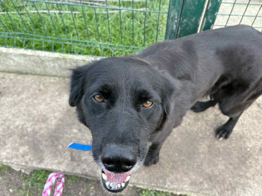 Photo #2 de Morticia