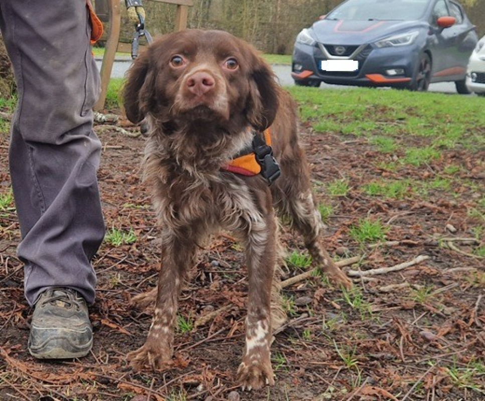 Photo #1 de Barbibul