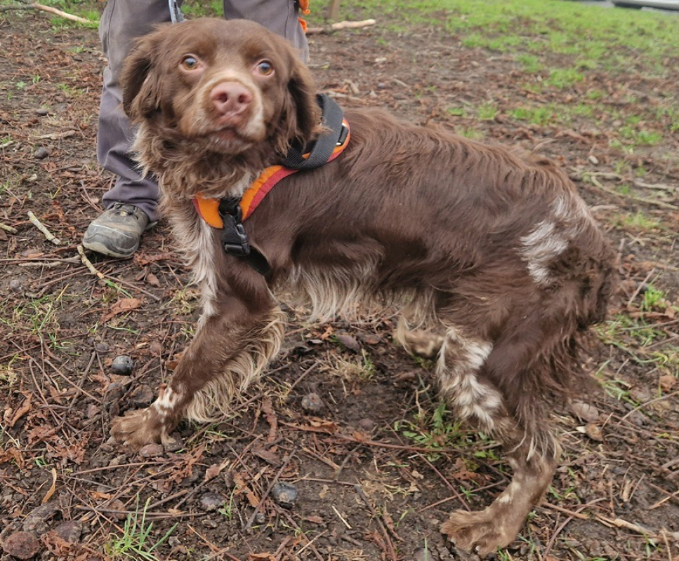 Photo #2 de Barbibul