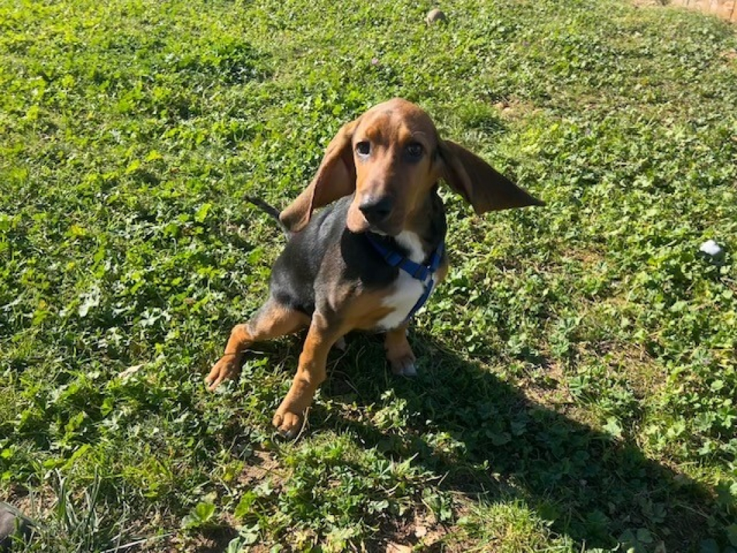 Photo #1 de Arthur reservé