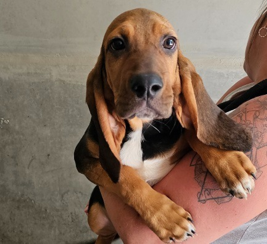 Photo #2 de Arthur reservé