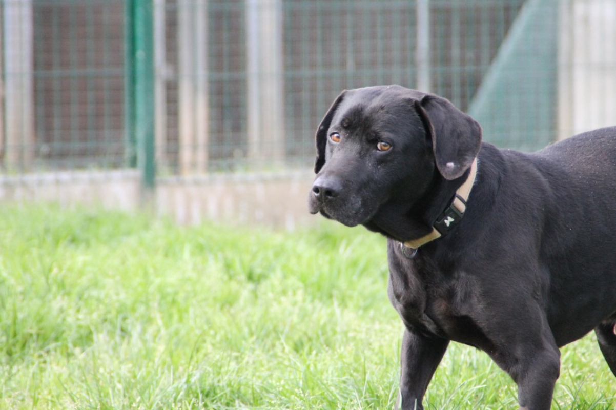 Photo #11 de Lucky