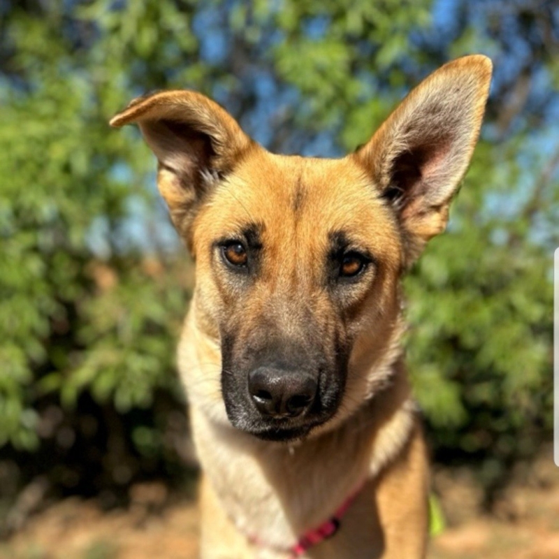 Photo de Esmeralda