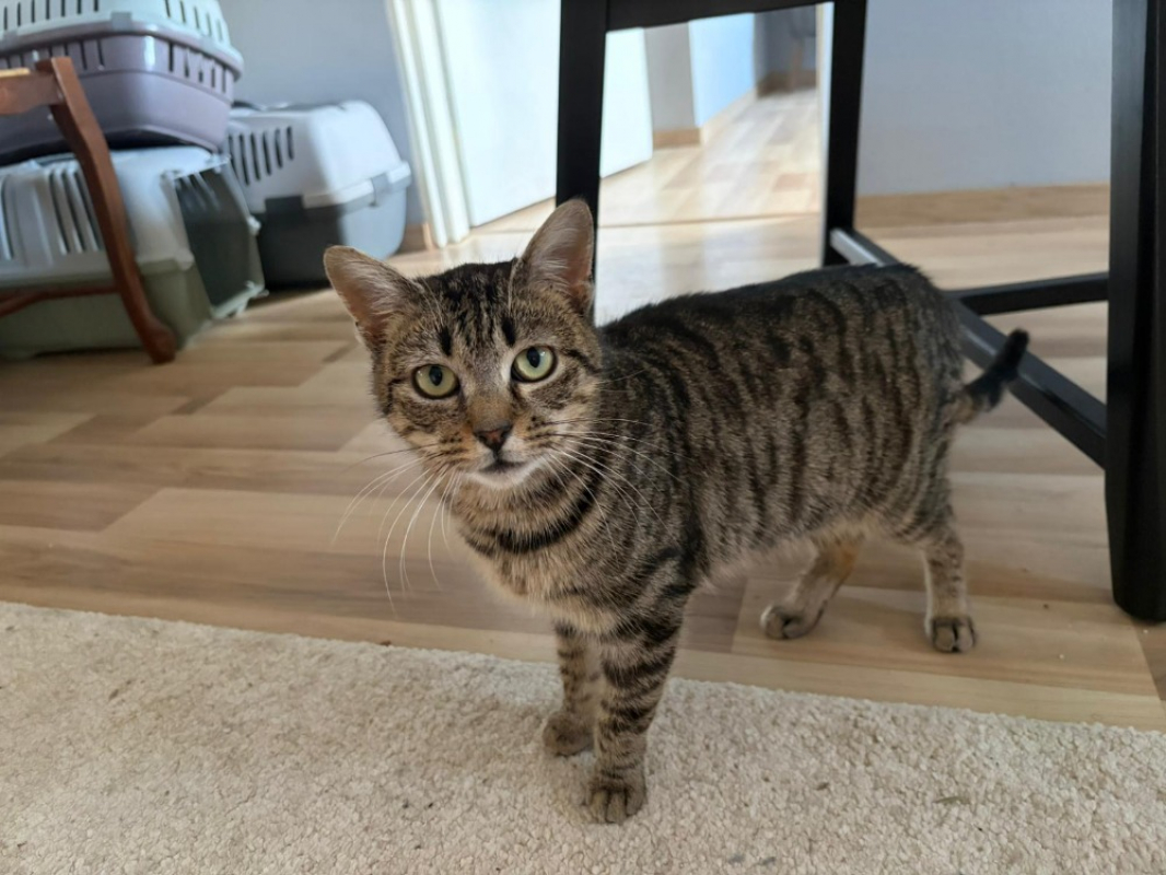 Photo #1 de Perle chez lola