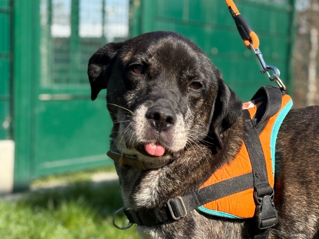 Photo #1 de Pryce dit ikso