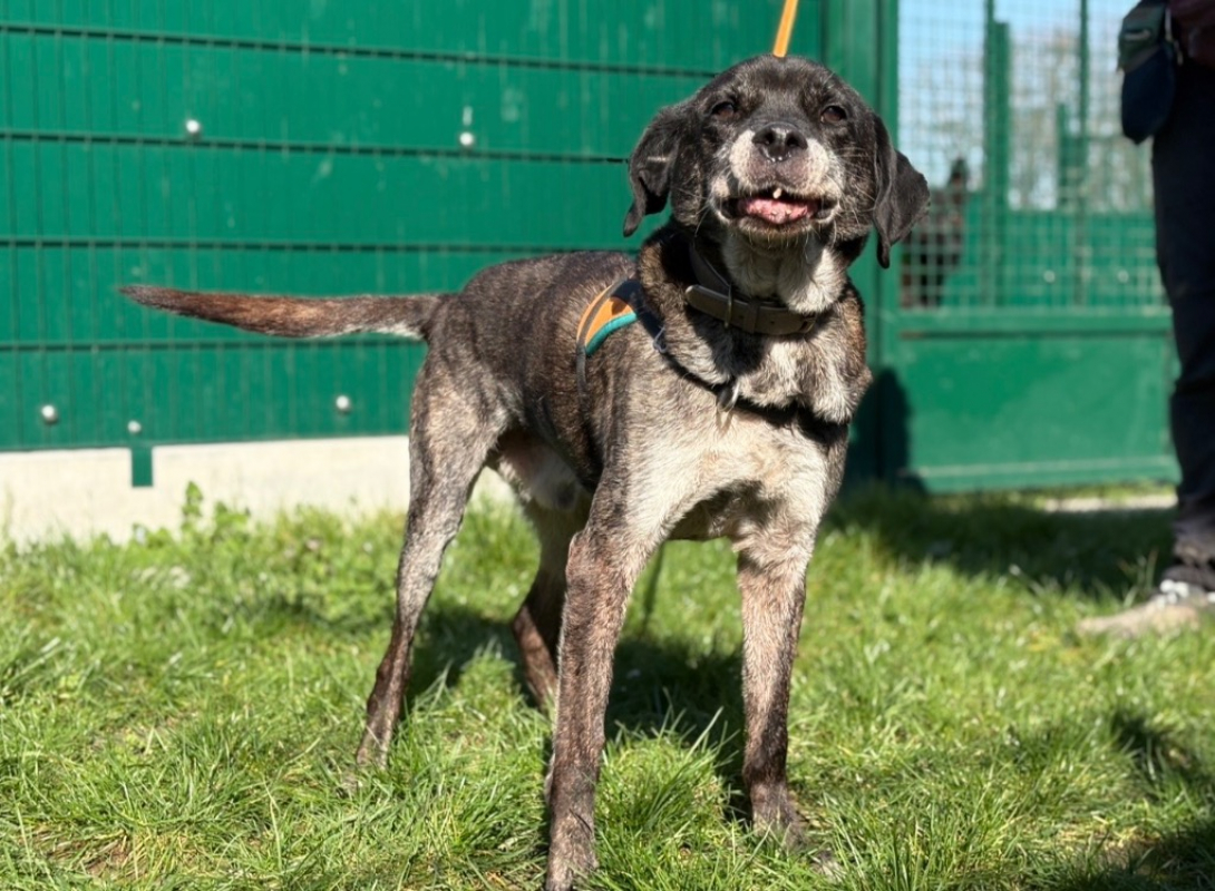 Photo #2 de Pryce dit ikso