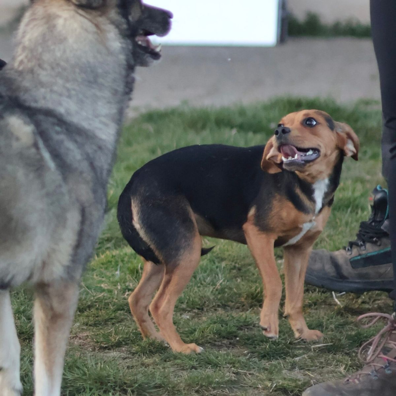 Photo #1 de bouille d'amour