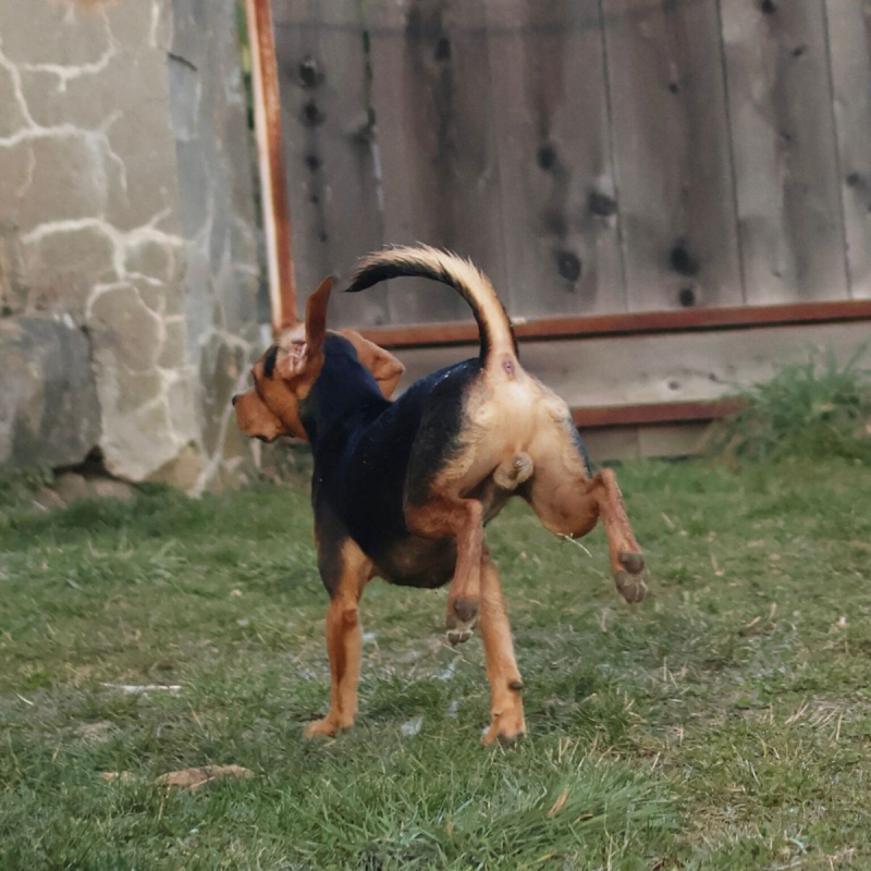 Photo #2 de bouille d'amour