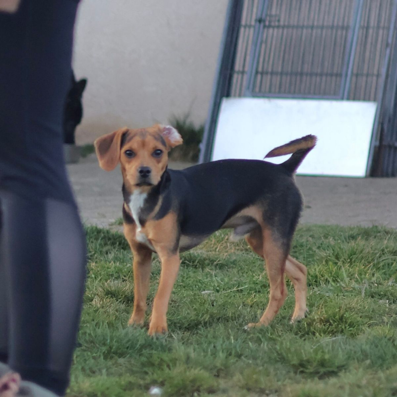 Photo #3 de bouille d'amour