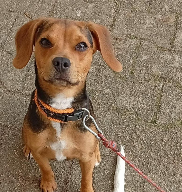 Photo #4 de bouille d'amour