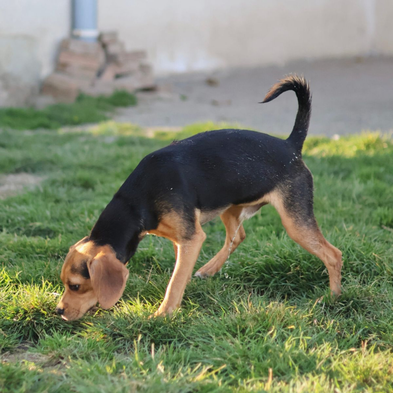 Photo #5 de bouille d'amour