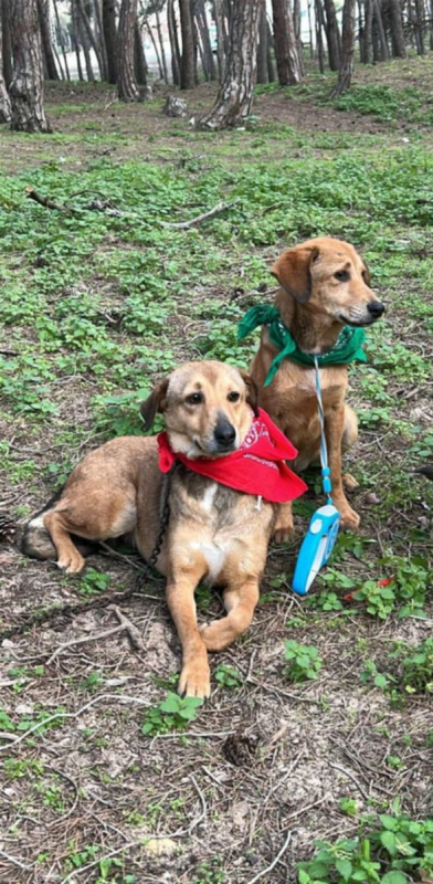 Photo #5 de CAPUCINE