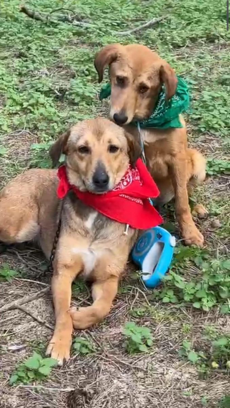 Photo #6 de CAPUCINE