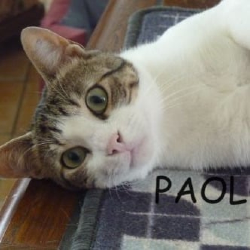 Photo de Paolo