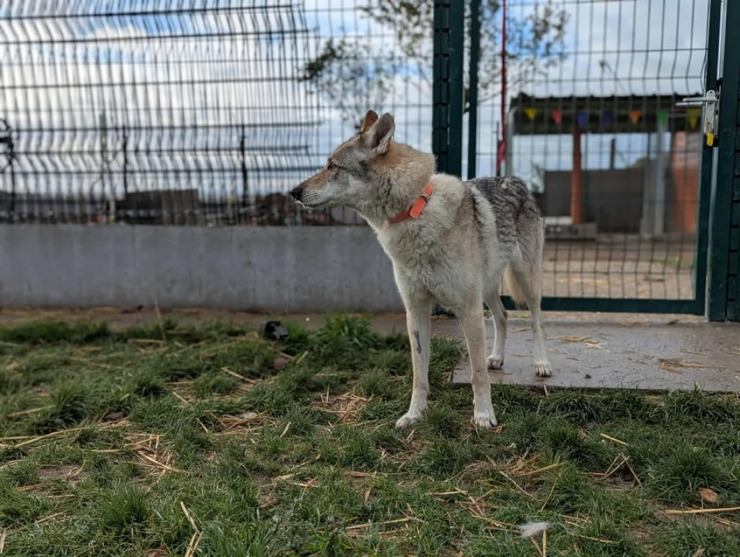Photo #6 de Arya
