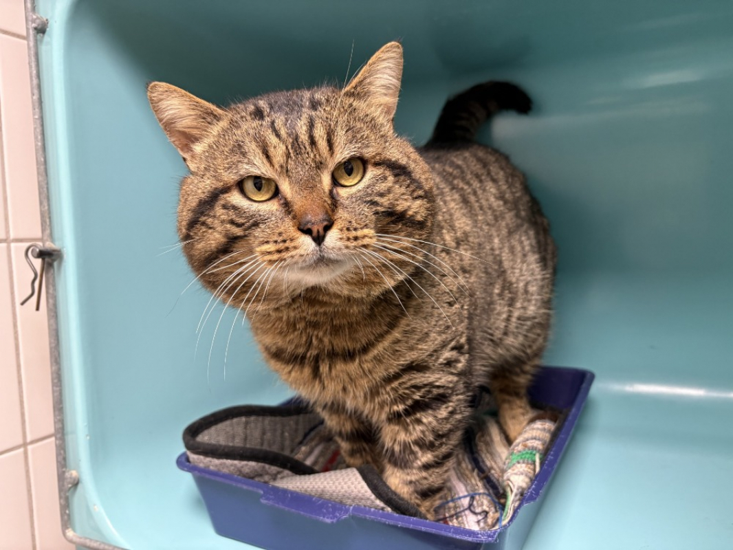 Photo de Barberousse