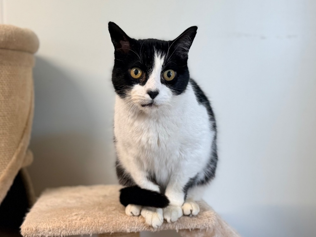 Photo #1 de Frimousse