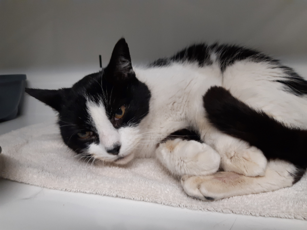 Photo #3 de Frimousse