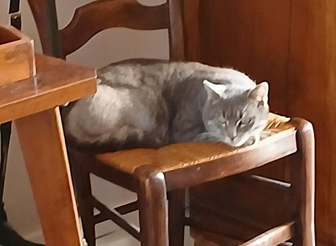 Photo #1 de PIRLOUIT