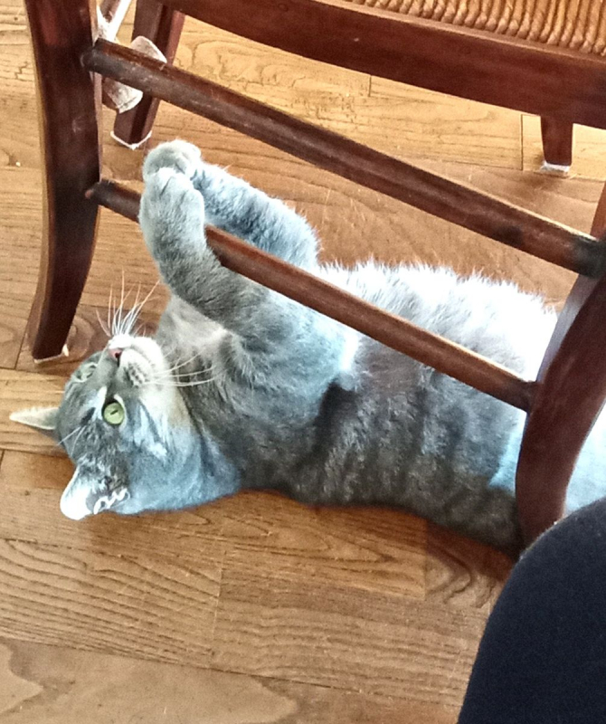 Photo #2 de PIRLOUIT