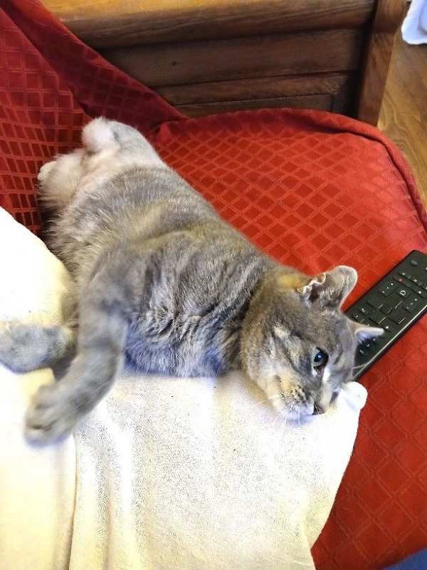 Photo #3 de PIRLOUIT