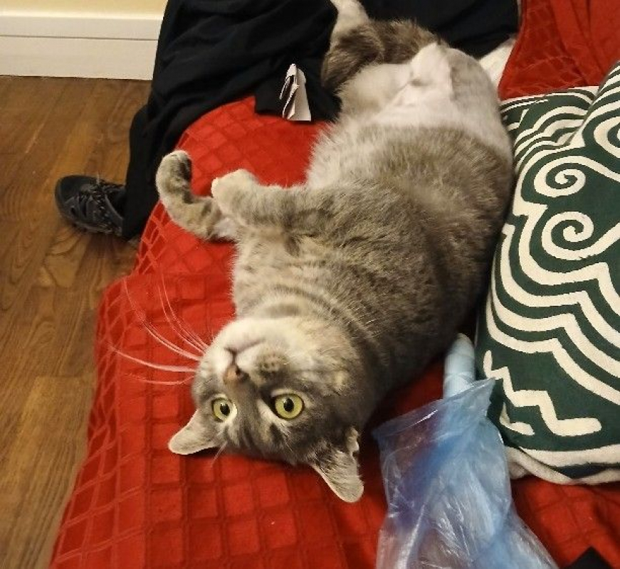 Photo #5 de PIRLOUIT