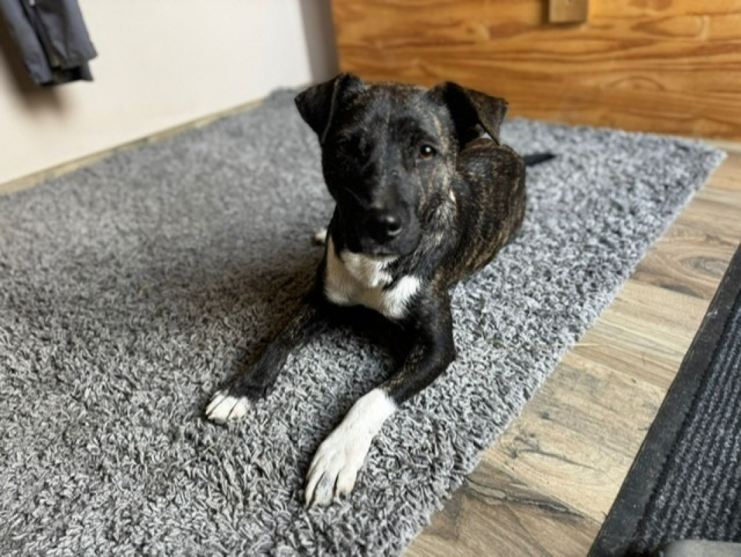 Photo #1 de Bertille