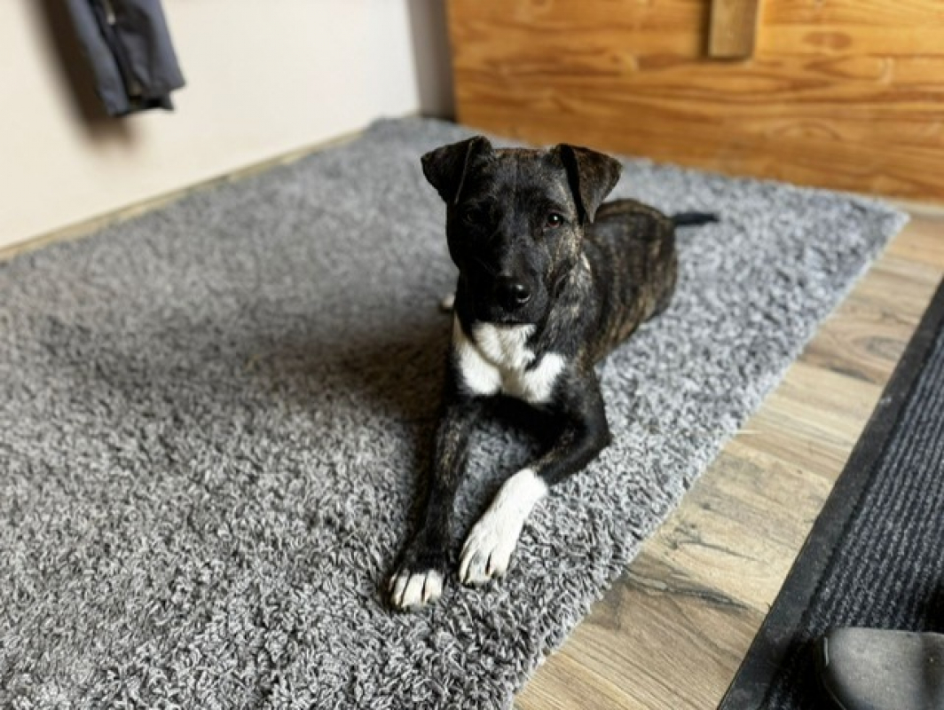 Photo #3 de Bertille