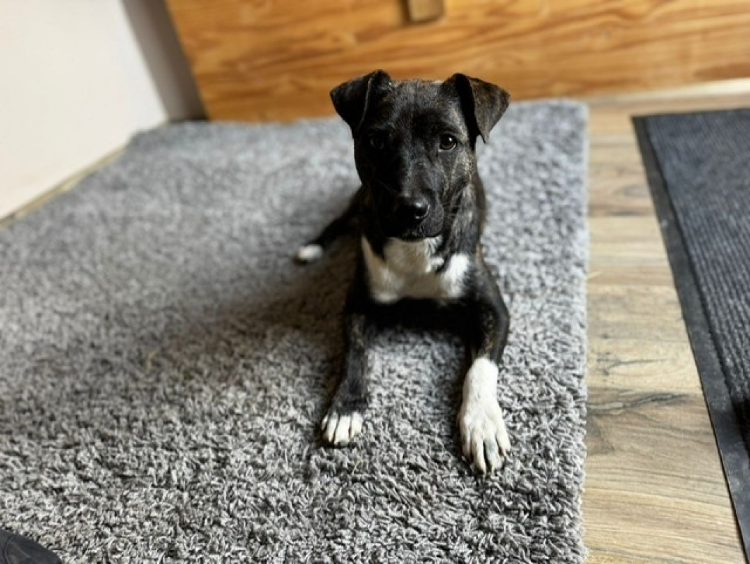 Photo #4 de Bertille