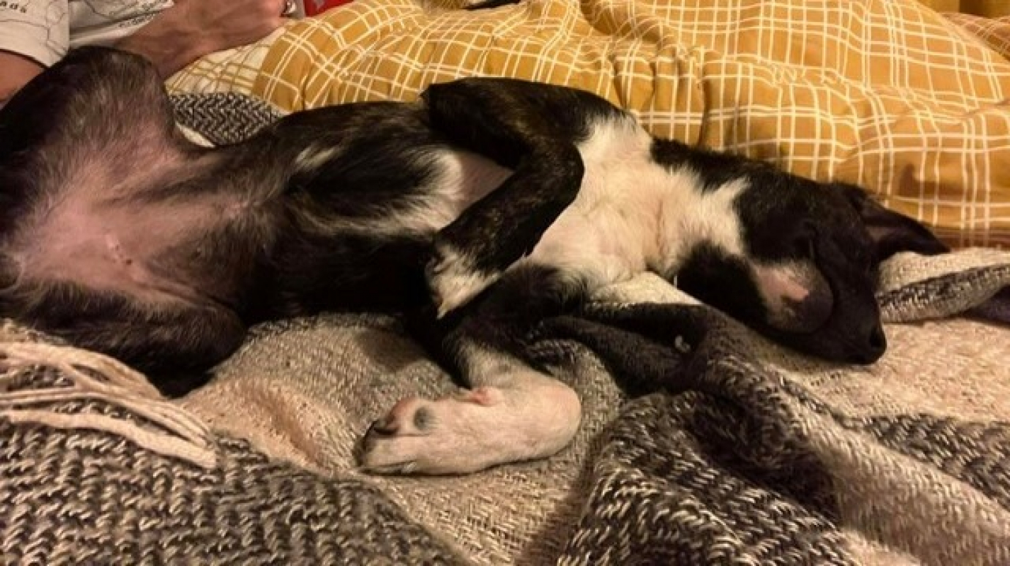 Photo #5 de Bertille