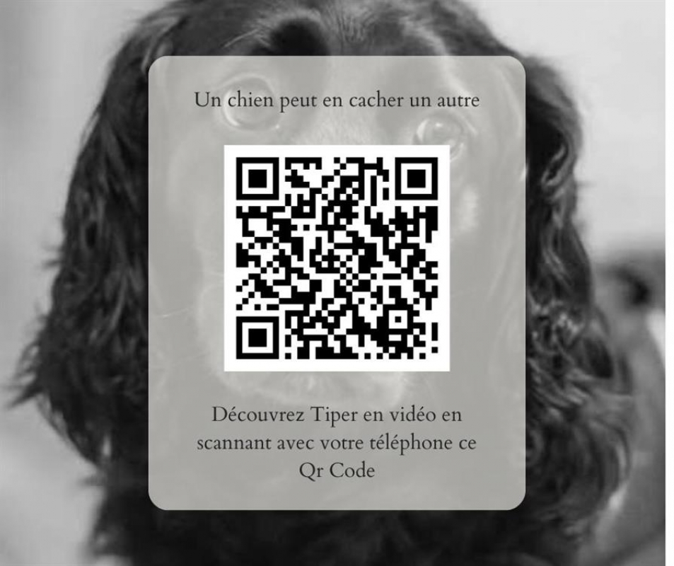 Photo #8 de Tiper
