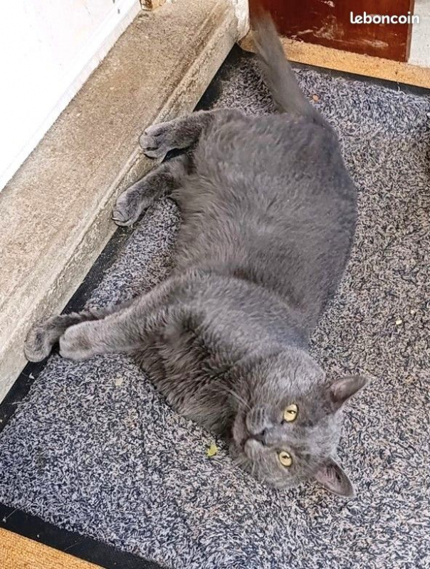 Photo #7 de GRISOUILLE