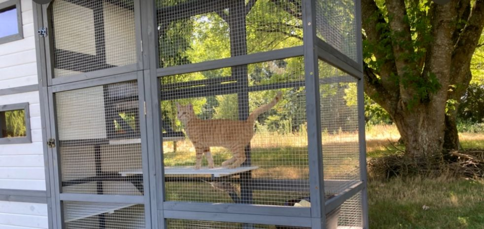 Photo #5 de TASPANZI