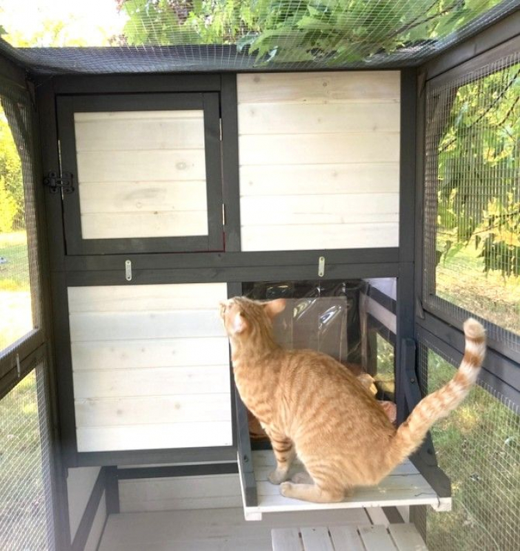 Photo #6 de TASPANZI