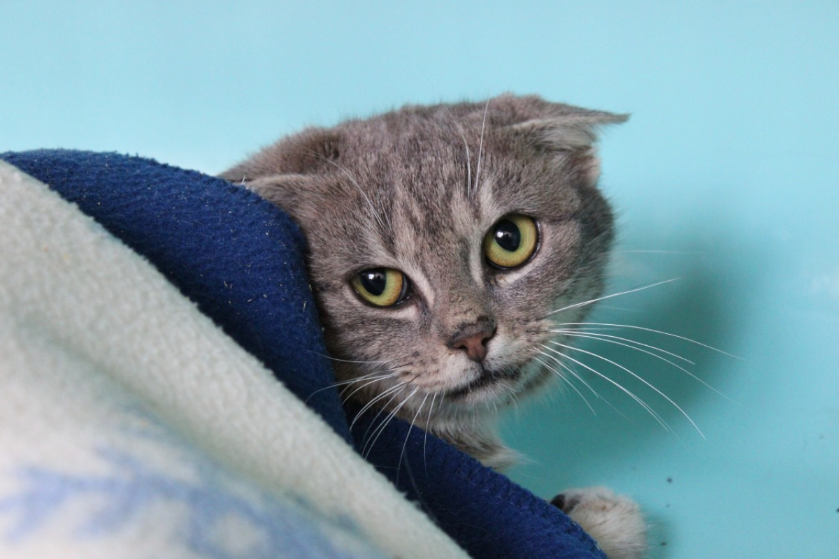 Photo #1 de Coin coin