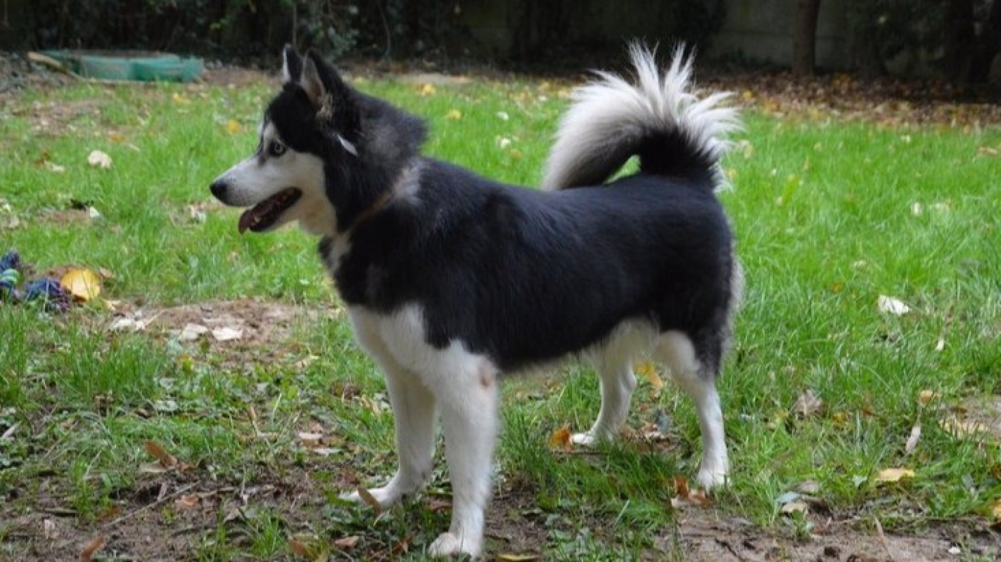 Photo #2 de Lola