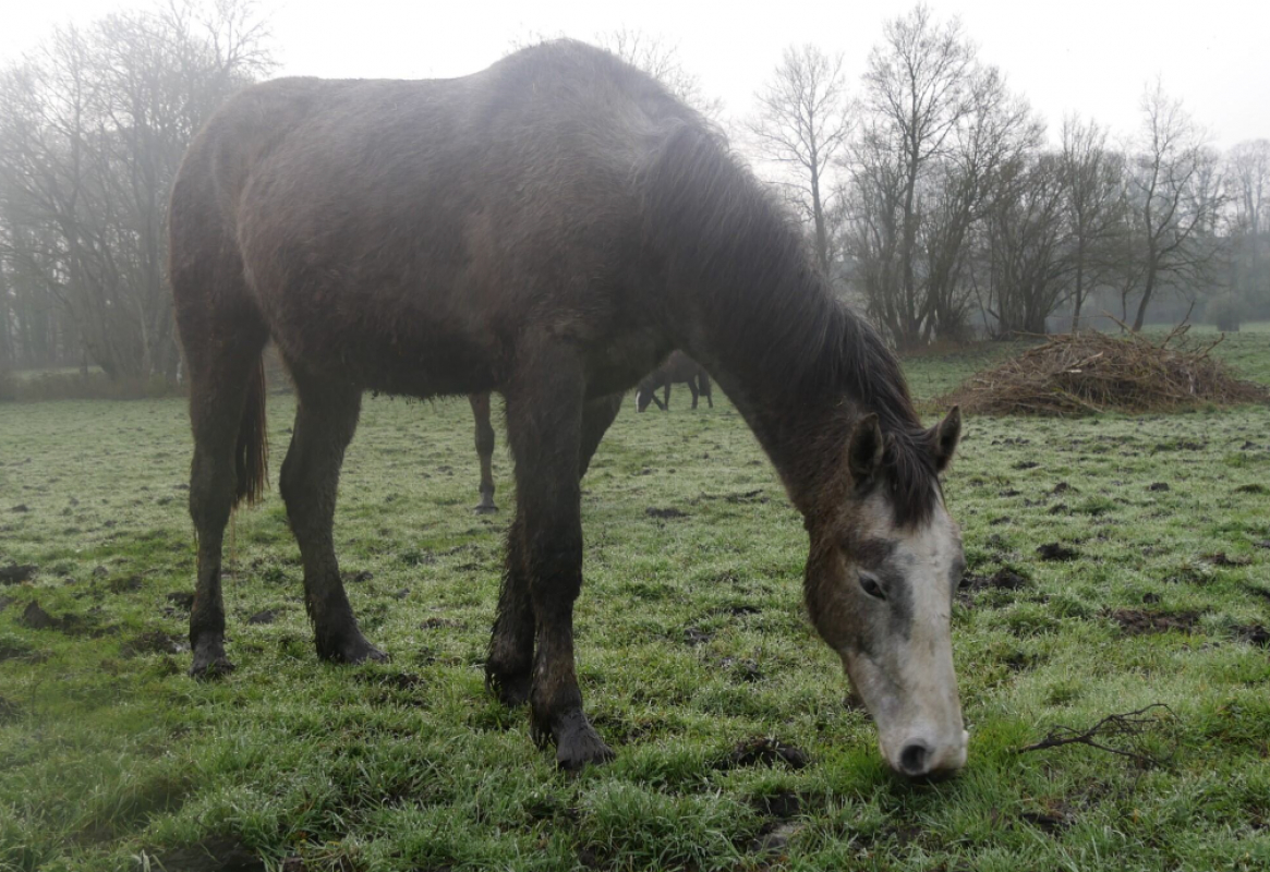 Photo #1 de News de belnoe