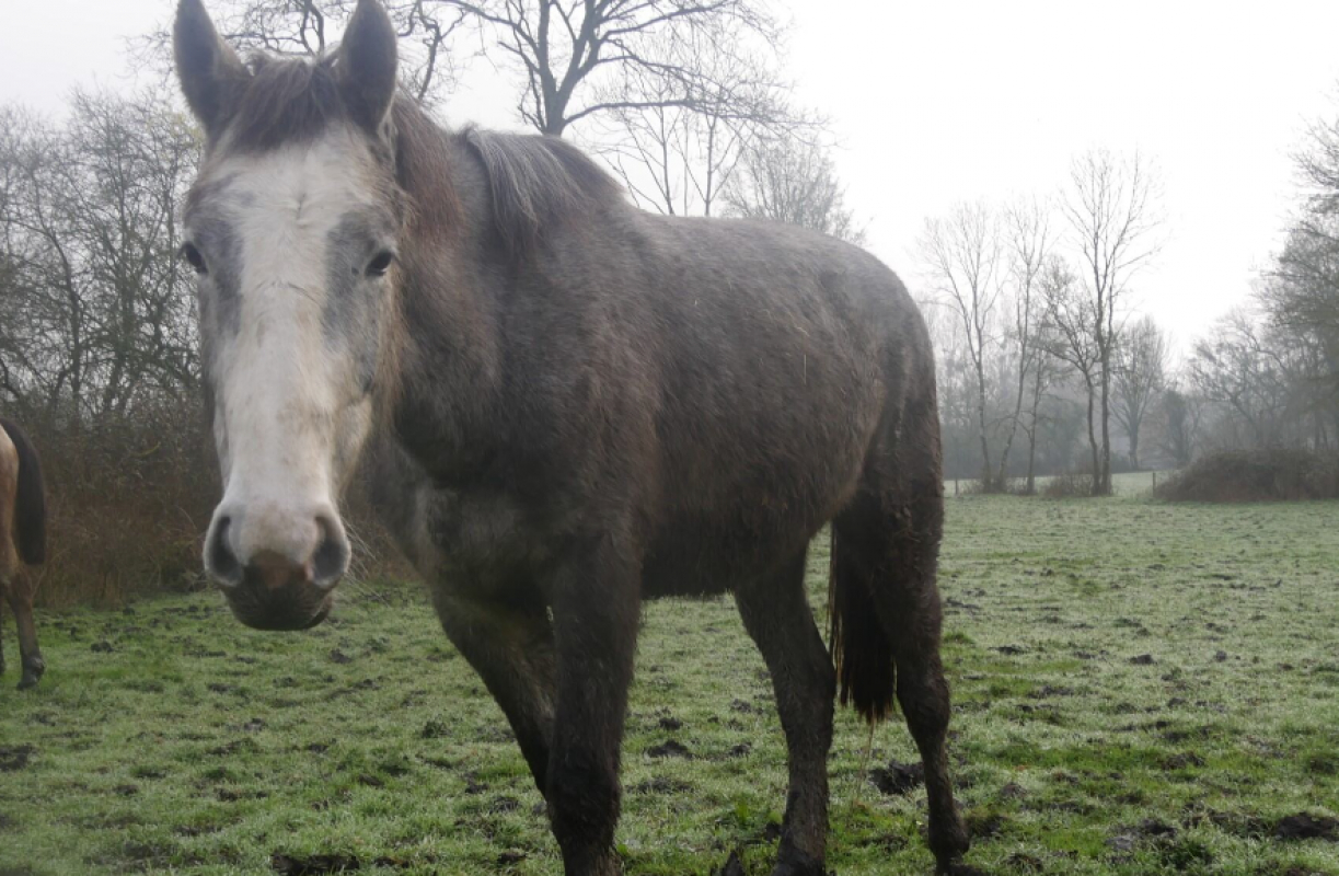 Photo #2 de News de belnoe