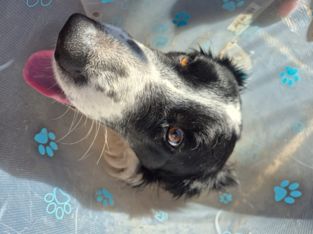 Photo #1 de O'malley